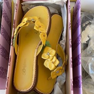 Oak lemon size 7m Brighton